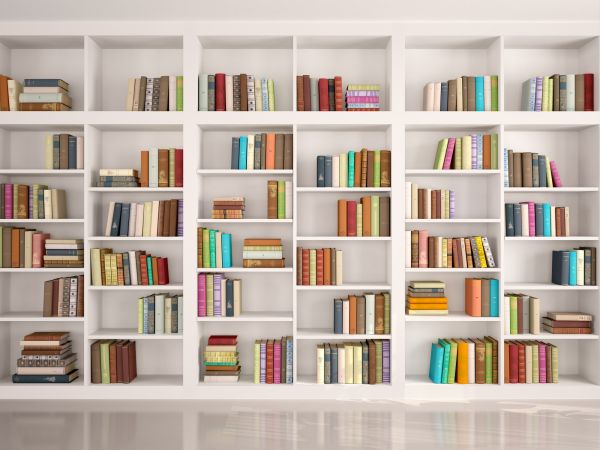 Bookshelf Assembly in Waldorf